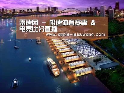 案例展示八