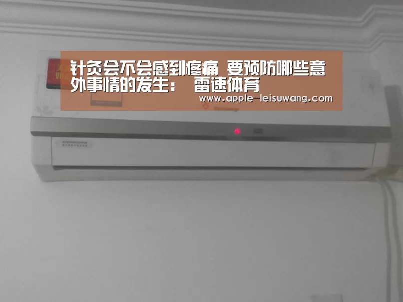  体育资讯