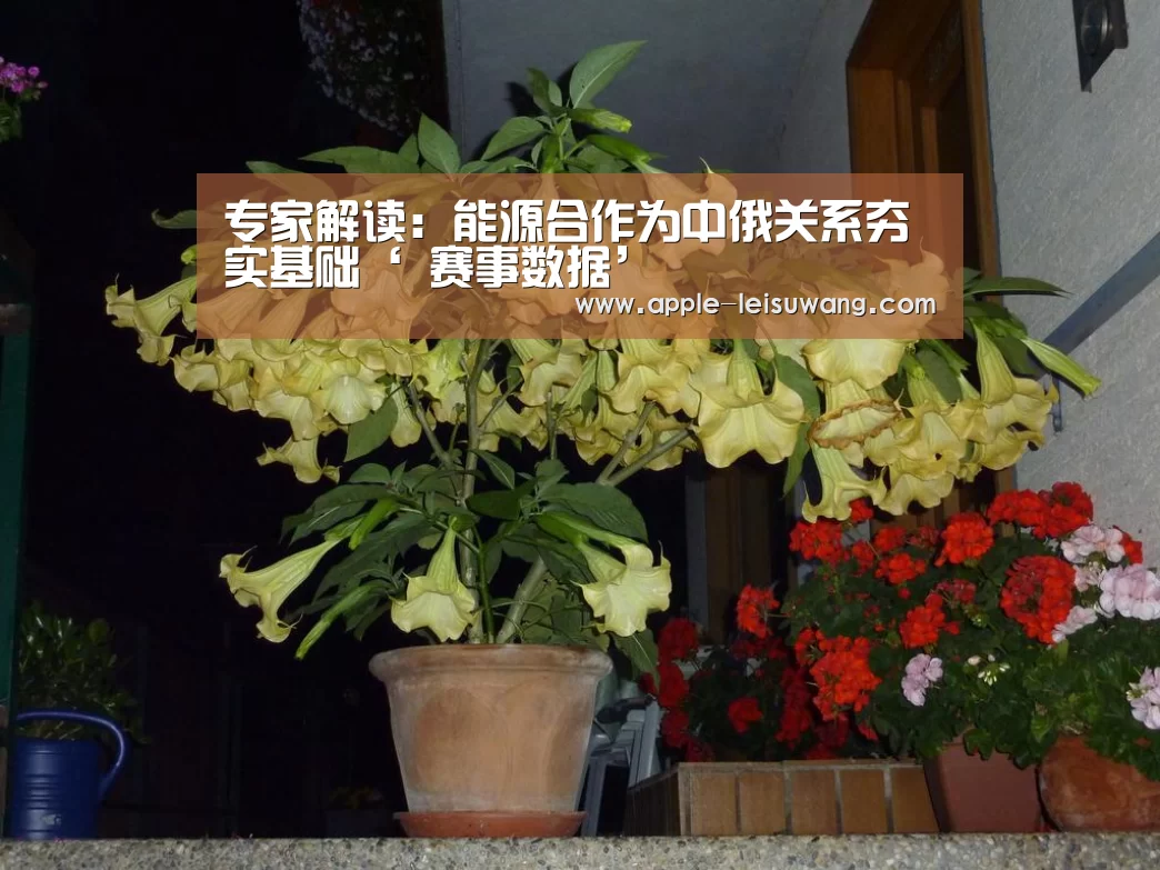  赛事数据