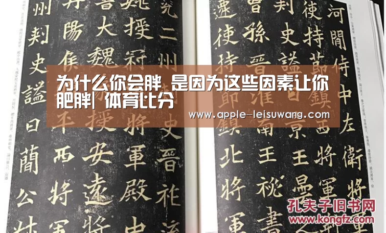 为什么你会胖 是因为这些因素让你肥胖| 体育比分(图1) 体育资讯