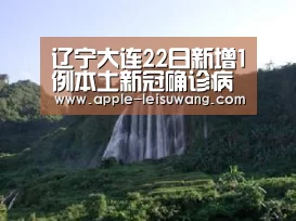  实时赔率