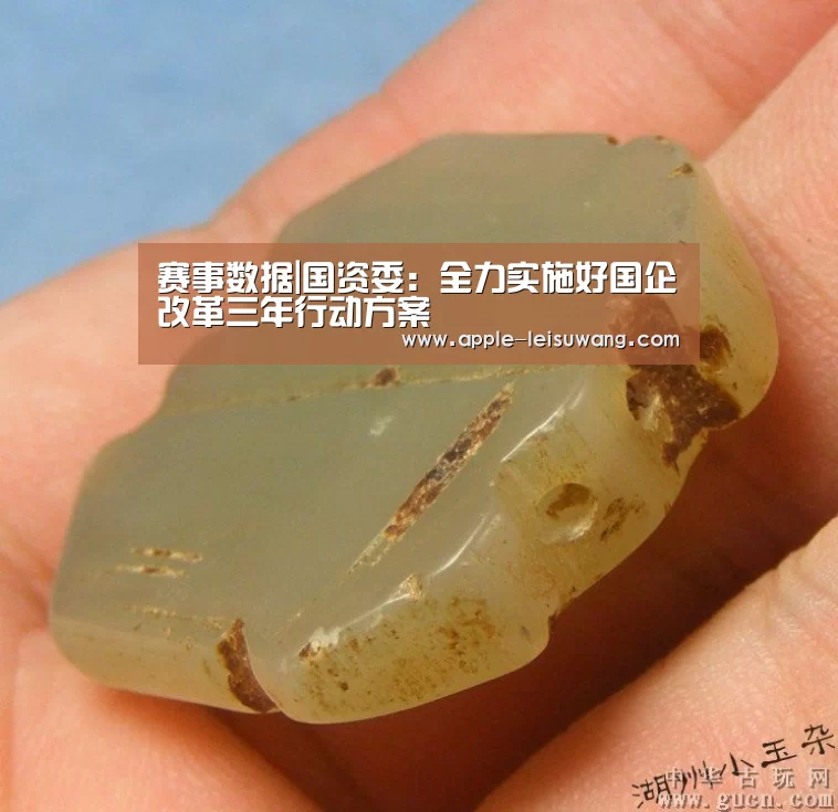  赛事数据