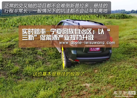  实时赔率